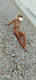 in spiaggia