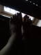 Feet
