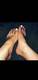 Piedi